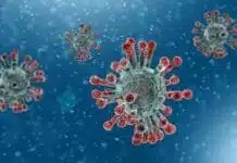 VAMOS CONTINUAR CONFINADOS ATÉ 14 DE FEVEREIRO