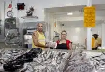 MERCADOS, MUNICIPAIS! PORQUÊ?