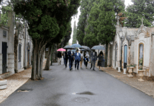 Existem dois cemitérios no concelho de Oeiras. Desta forma, existe um em Oeiras e outro em Carnaxide.