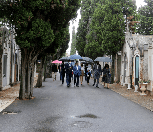 Existem dois cemitérios no concelho de Oeiras. Desta forma, existe um em Oeiras e outro em Carnaxide.