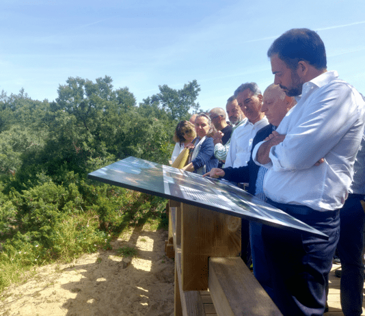 Na perspetiva de Duarte Cordeiro, “esta intervenção, realizada pelo ICNF e pela Câmara Municipal de Almada, permitiu “valorizar e proteger as espécies e a biodiversidade” deste local