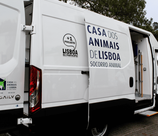 A Casa dos Animais de Lisboa (CAL) é o Centro de Recolha Oficial (CRO) de animais errantes na cidade
