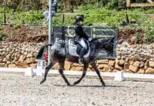 Academia João Cardiga forma campeões na prática de equitação