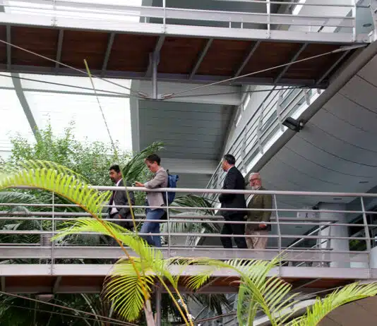 Oeiras aprova requalificação paisagística do campus do IST no Taguspark