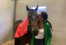 Maria e o cavalo Jet Set cumpriram metas do Campeonato da Europa de Dressage para crianças