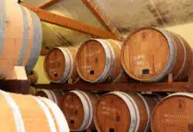 Oeiras assinala o Dia Mundial do Turismo com várias atividades