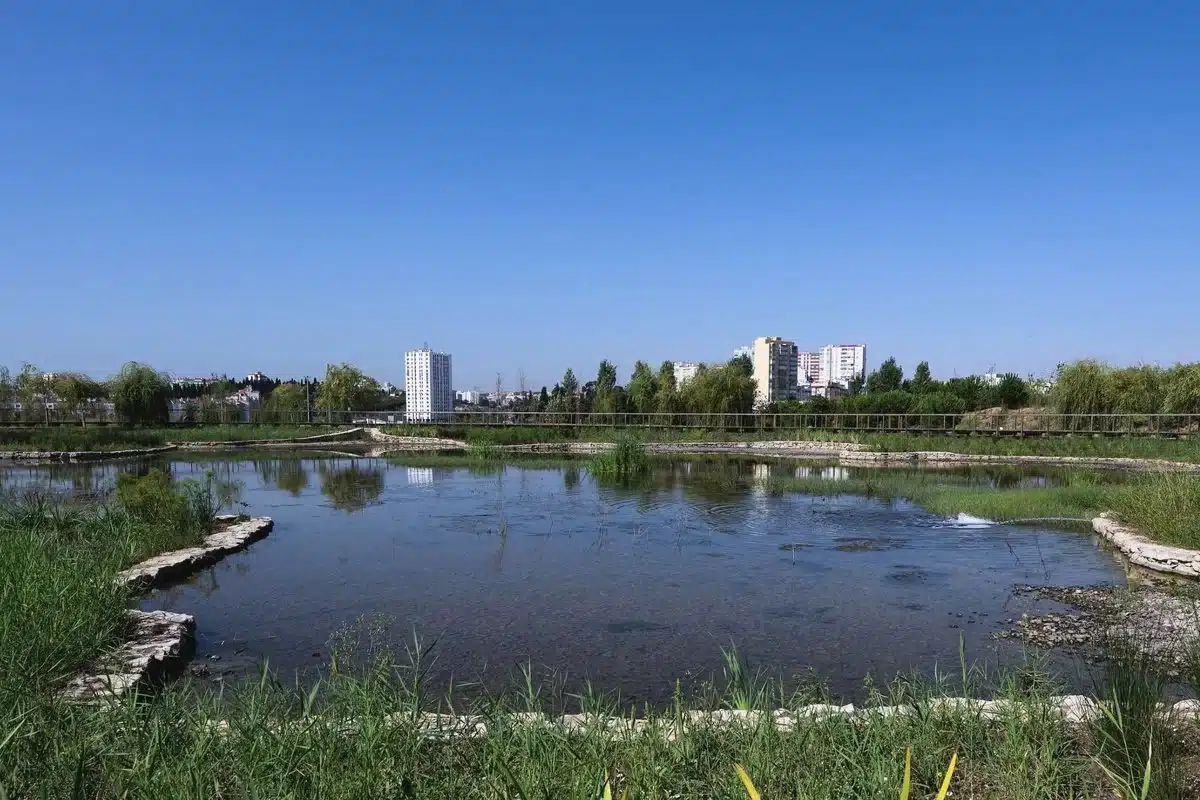 Lisbon Unveils Stunning New 17-Hectare Green Park in Carnide with Free Activities and Eco-Friendly Focus!