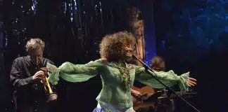 Carlos Paredes celebrado em concerto-homenagem