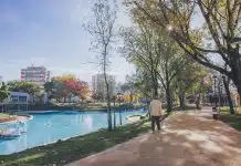 Câmara da Amadora anuncia alívio fiscal de 14,5 milhões de euros para famílias e empresas