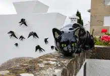 Museu da Amadora promove visitas e oficinas culturais durante dezembro em vários núcleos museológicos