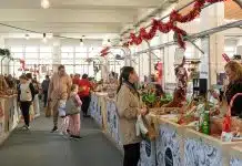 Natal no Mercado Municipal de Oeiras celebra sustentabilidade e comunidade nos dias 13 e 14 de dezembro