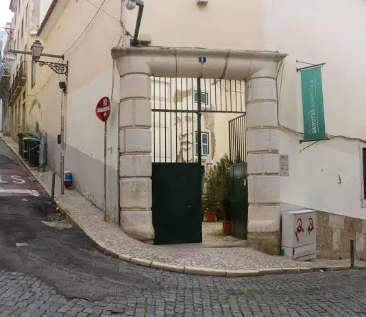 Polo Cultural Gaivotas Boavista celebra 10 anos com novos projetos