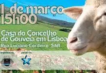 Património gastronómico da Serra da Estrela “desce” até Lisboa