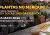 Oeiras convida a uma imersão no mundo das plantas e da ciência
