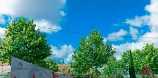 Amadora plantou minifloresta no Parque das Artes e do Desporto