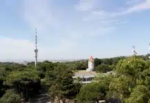 Lisboa encerra espaços florestais entre 3 e 6 de julho devido a risco de incêndio