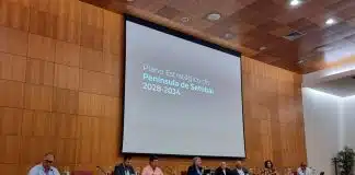 Península de Setúbal apresenta plano estratégico 2028-2034
