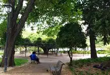 Junta de Freguesia da Misericórdia “alarga” horário de igrejas para proteger cidadãos do calor