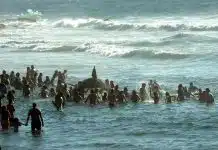 Praia das Maçãs celebra 133 anos de Nossa Senhora da Praia