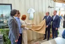 Fábrica de Odivelas ambiciona ter a maior produção urbana de cogumelos da Europa