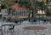Movimento de cidadãos reclama “Jardim da Estrela para todos”