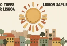 Grupo de jovens ativistas pretende plantar 400 árvores na cidade de Lisboa para mitigar ilhas de calor